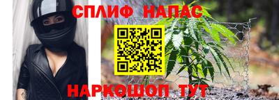 мдпв Татарск